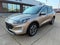 2021 Ford Escape SEL AWD 4dr SUV