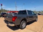 2026 Ford F-150 XLT 4x4 4dr SuperCrew 5.5 ft. SB