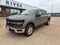2026 Ford F-150 XLT 4x4 4dr SuperCrew 5.5 ft. SB